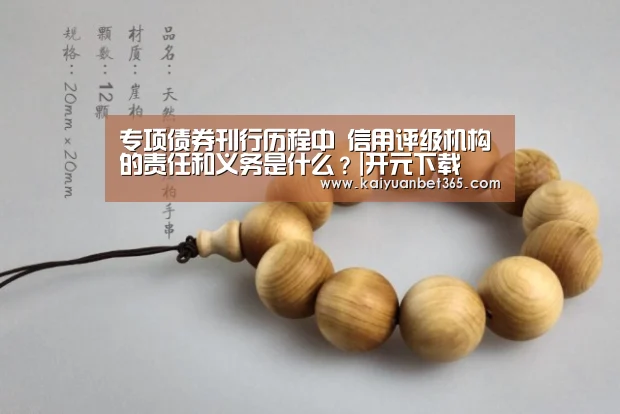 专项债券刊行历程中 信用评级机构的责任和义务是什么?|开元下载(图2) 开元下载