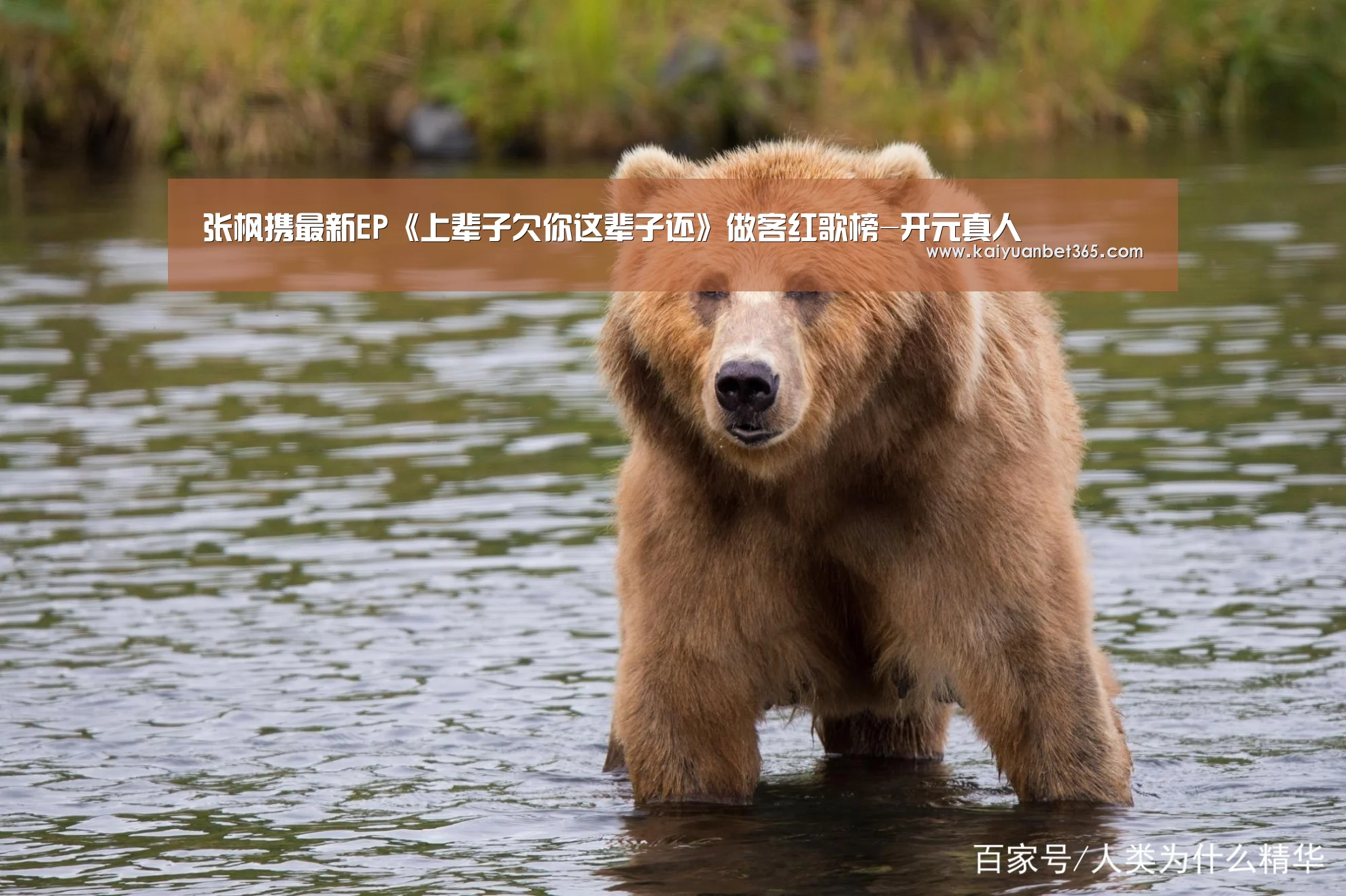 开元APP