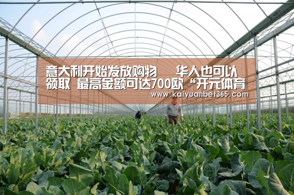 意大利开始发放购物劵 华人也可以领取 最高金额可达700欧“开元体育”(图2) 开元真人