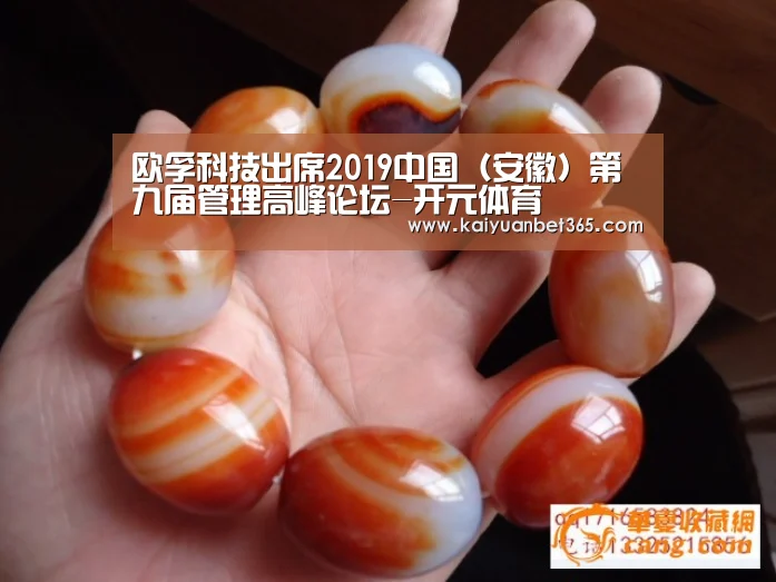 欧孚科技出席2019中国(安徽)第九届管理高峰论坛-开元体育(图1) 开元APP