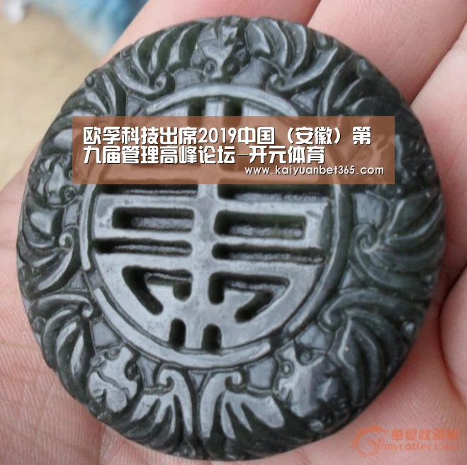 欧孚科技出席2019中国(安徽)第九届管理高峰论坛-开元体育(图2) 开元APP